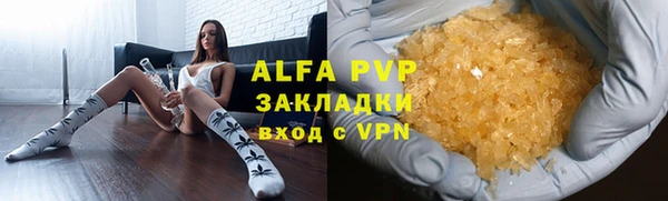 мет Алексин